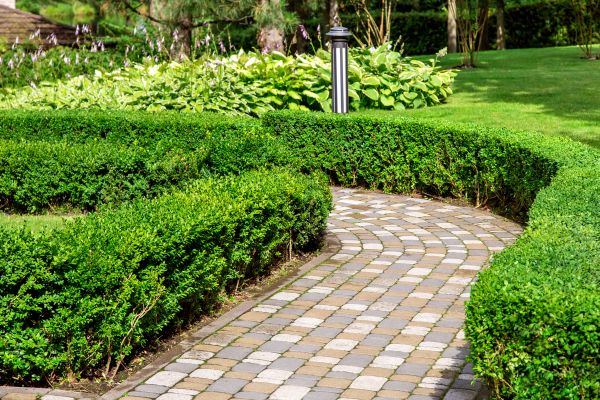 Paved Landscaping in Hayden