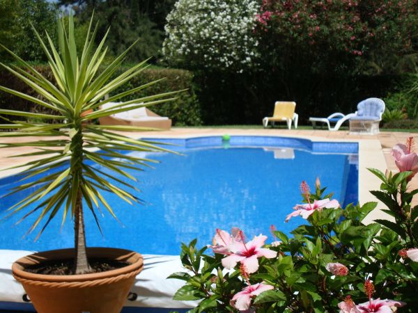 Pool Terrace Renovation in Hayden